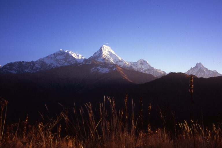 Ghorepani Poon Hill trek