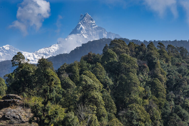 Mardi Himal Trek