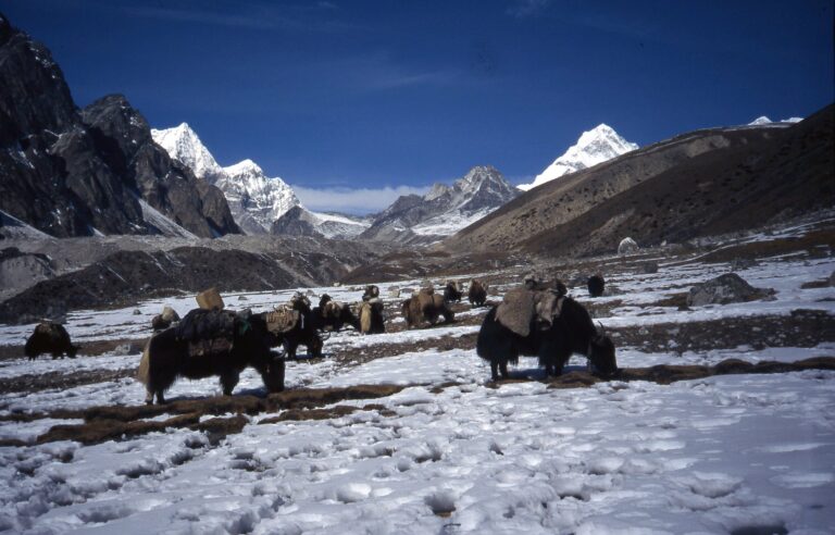 Nangpa La Trek – Nepal
