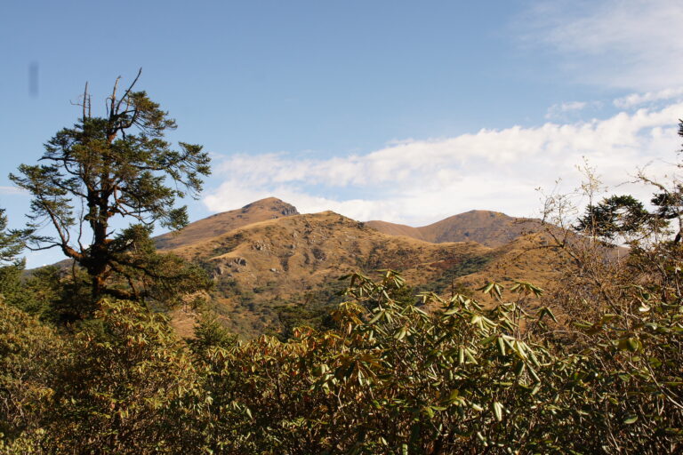 Pikey Peak Everest View