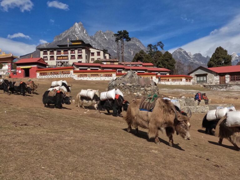Tengboche-Everest
