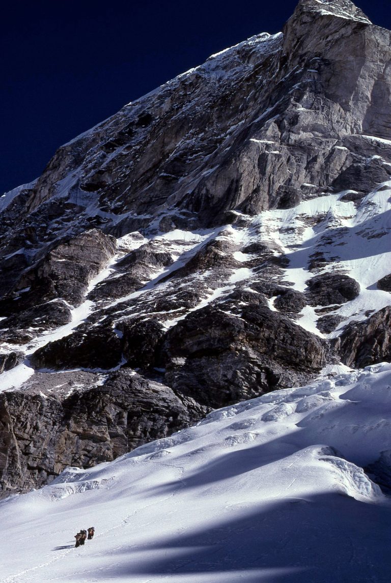 Porters and Teshi Lapcha